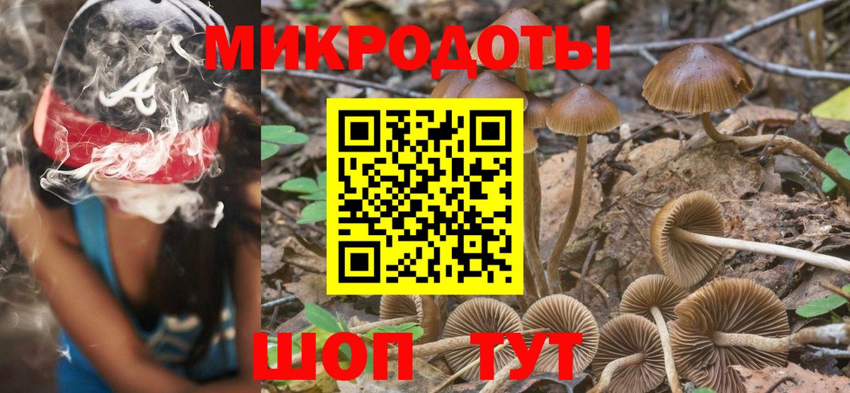 Галлюциногенные грибы ЛСД Сосновый Бор